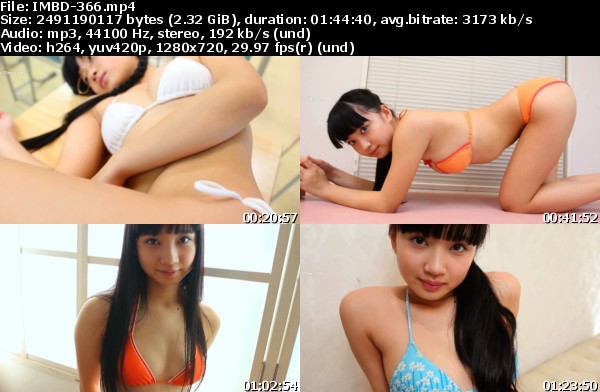 IMBD-366_s.jpg