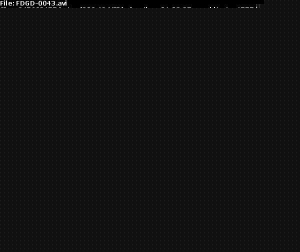 FDGD-0043_you15iv.jpg