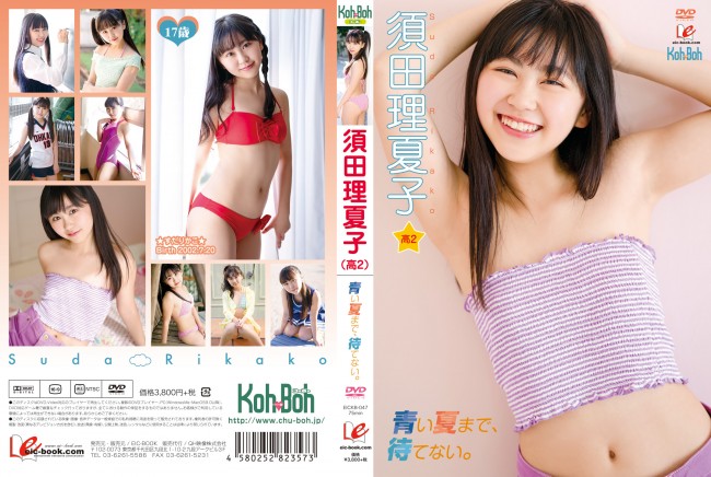 pp_1511075.jpg